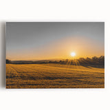Golden Sunset Over Wheat Field Rustic Wall Art – Farmhouse Landscape Print