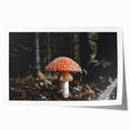 Forest Mushroom Close-Up Rustic Wall Art – Farmhouse Nature Decor Print