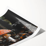 Forest Mushroom Close-Up Rustic Wall Art – Farmhouse Nature Decor Print