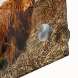 Highland Cow by the Coast Rustic Wall Art – Farmhouse Nature Decor Print