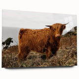 Highland Cow by the Coast Rustic Wall Art – Farmhouse Nature Decor Print