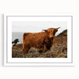 Highland Cow by the Coast Rustic Wall Art – Farmhouse Nature Decor Print