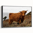 Highland Cow by the Coast Rustic Wall Art – Farmhouse Nature Decor Print