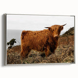 Highland Cow by the Coast Rustic Wall Art – Farmhouse Nature Decor Print