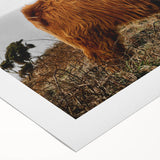 Highland Cow by the Coast Rustic Wall Art – Farmhouse Nature Decor Print