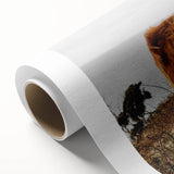 Highland Cow by the Coast Rustic Wall Art – Farmhouse Nature Decor Print