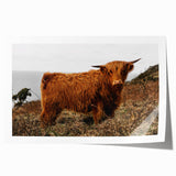 Highland Cow by the Coast Rustic Wall Art – Farmhouse Nature Decor Print