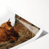 Highland Cow by the Coast Rustic Wall Art – Farmhouse Nature Decor Print