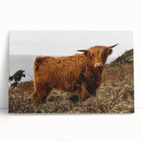 Highland Cow by the Coast Rustic Wall Art – Farmhouse Nature Decor Print