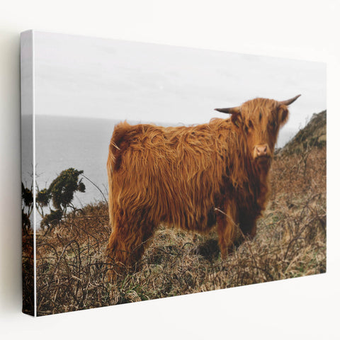 Highland Cow by the Coast Rustic Wall Art – Farmhouse Nature Decor Print
