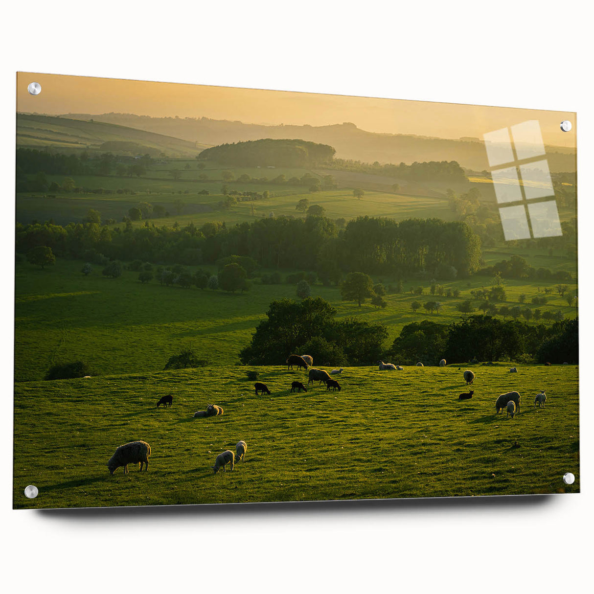 Rustic Wall Art - Sunset Farmhouse Landscape with Grazing Sheep