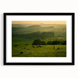 Rustic Wall Art - Sunset Farmhouse Landscape with Grazing Sheep