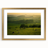 Rustic Wall Art - Sunset Farmhouse Landscape with Grazing Sheep