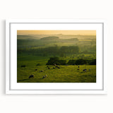 Rustic Wall Art - Sunset Farmhouse Landscape with Grazing Sheep