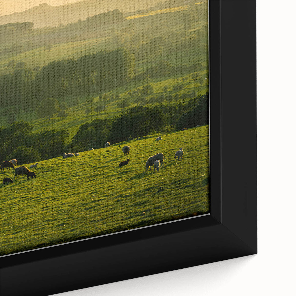 Rustic Wall Art - Sunset Farmhouse Landscape with Grazing Sheep