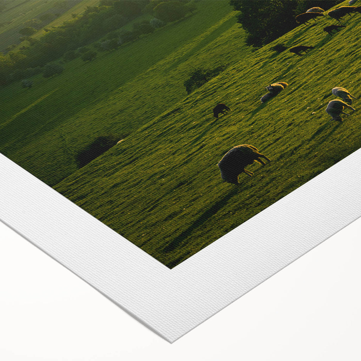 Rustic Wall Art - Sunset Farmhouse Landscape with Grazing Sheep