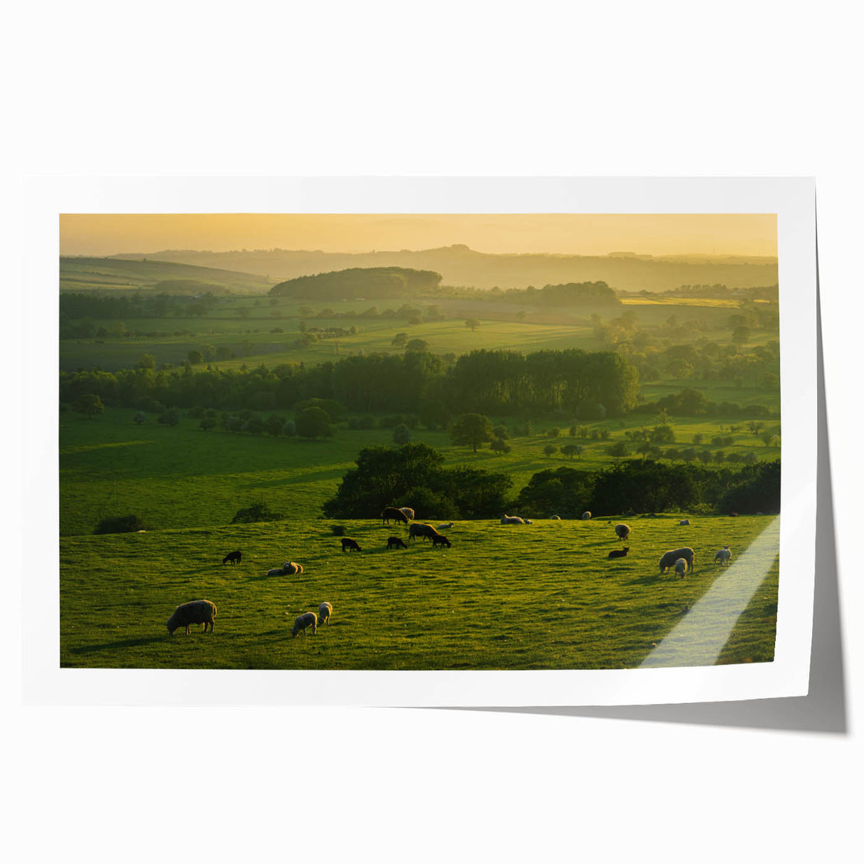 Rustic Wall Art - Sunset Farmhouse Landscape with Grazing Sheep