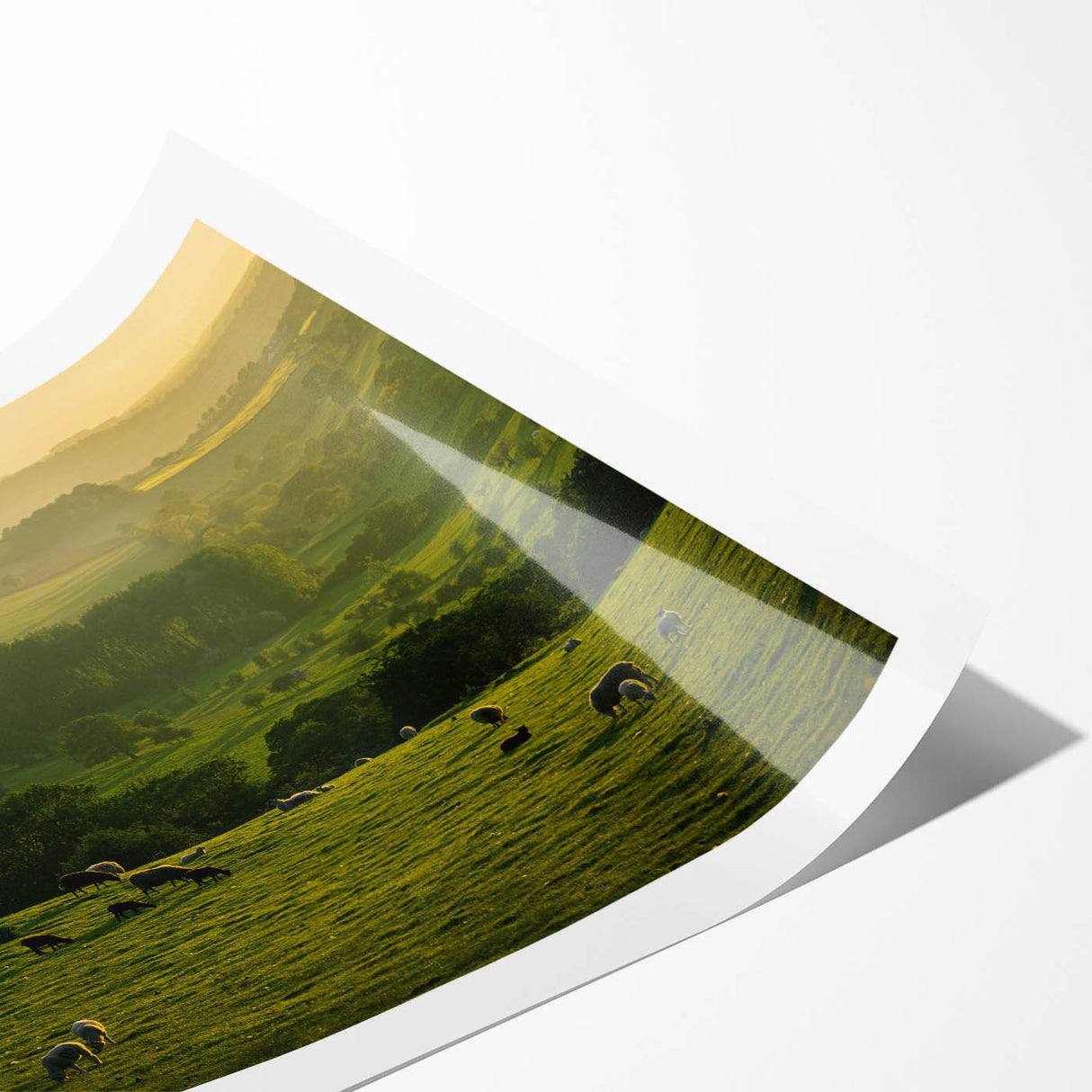 Rustic Wall Art - Sunset Farmhouse Landscape with Grazing Sheep
