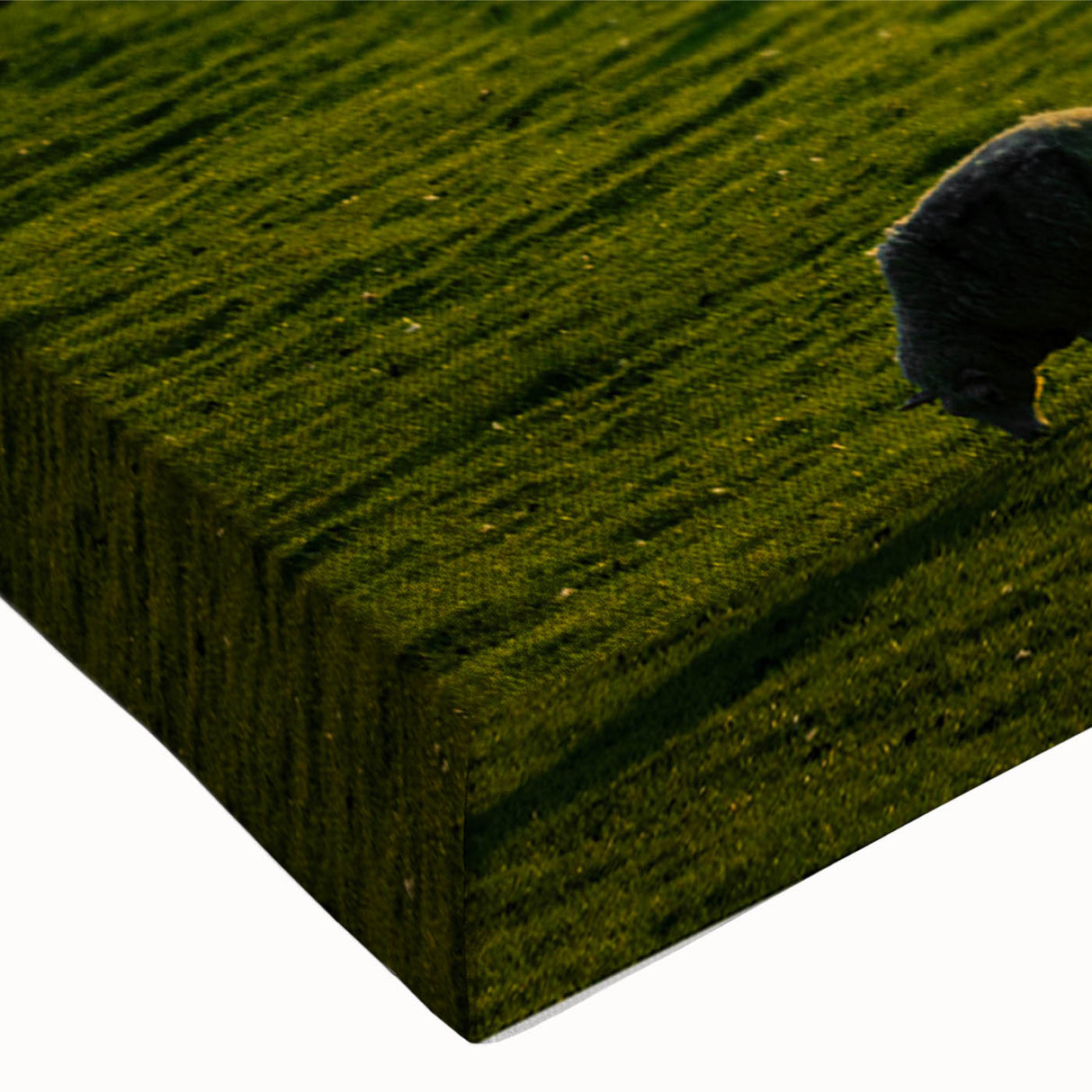 Rustic Wall Art - Sunset Farmhouse Landscape with Grazing Sheep