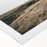 Rustic Wall Art - Minimalist Grassland Landscape for Farmhouse Decor