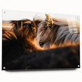 Rustic Wall Art - Close-Up of Horses with Warm Natural Lighting