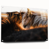 Rustic Wall Art - Close-Up of Horses with Warm Natural Lighting