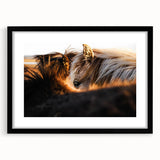 Rustic Wall Art - Close-Up of Horses with Warm Natural Lighting