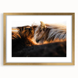 Rustic Wall Art - Close-Up of Horses with Warm Natural Lighting