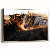 Rustic Wall Art - Close-Up of Horses with Warm Natural Lighting
