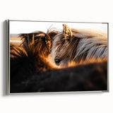 Rustic Wall Art - Close-Up of Horses with Warm Natural Lighting