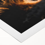 Rustic Wall Art - Close-Up of Horses with Warm Natural Lighting