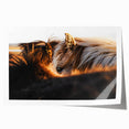 Rustic Wall Art - Close-Up of Horses with Warm Natural Lighting