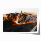 Rustic Wall Art - Close-Up of Horses with Warm Natural Lighting