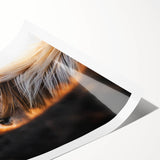 Rustic Wall Art - Close-Up of Horses with Warm Natural Lighting