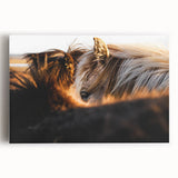 Rustic Wall Art - Close-Up of Horses with Warm Natural Lighting