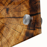 Rustic Wall Art - Tree Trunk Cross-Section with Natural Wood Texture