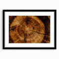 Rustic Wall Art - Tree Trunk Cross-Section with Natural Wood Texture