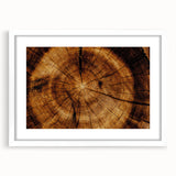 Rustic Wall Art - Tree Trunk Cross-Section with Natural Wood Texture
