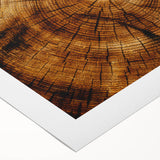Rustic Wall Art - Tree Trunk Cross-Section with Natural Wood Texture