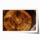 Rustic Wall Art - Tree Trunk Cross-Section with Natural Wood Texture