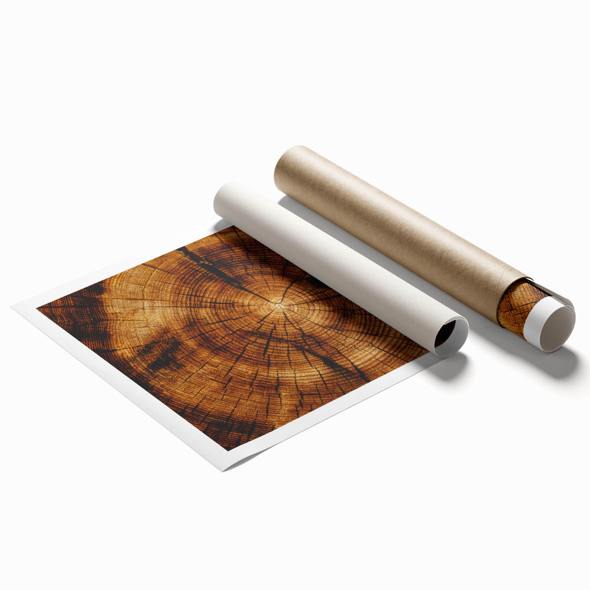 Rustic Wall Art - Tree Trunk Cross-Section with Natural Wood Texture