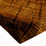 Rustic Wall Art - Tree Trunk Cross-Section with Natural Wood Texture
