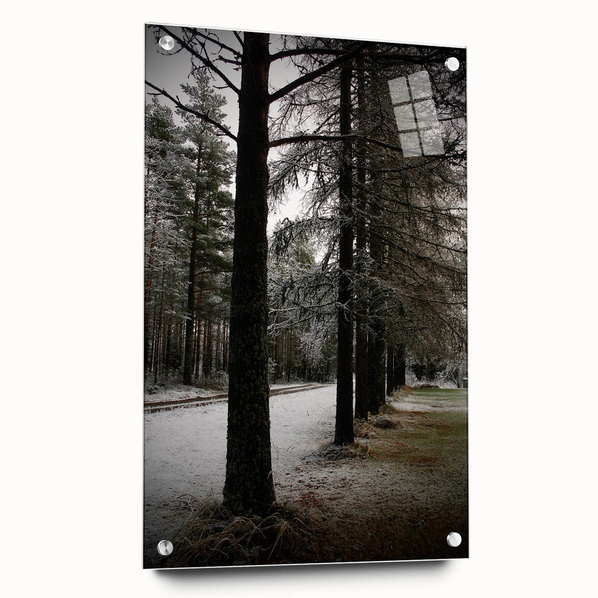 Rustic Winter Forest Wall Art | Farmhouse Nature Scene for Cozy Decor