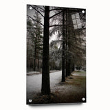 Rustic Winter Forest Wall Art | Farmhouse Nature Scene for Cozy Decor