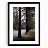 Rustic Winter Forest Wall Art | Farmhouse Nature Scene for Cozy Decor