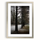 Rustic Winter Forest Wall Art | Farmhouse Nature Scene for Cozy Decor