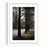 Rustic Winter Forest Wall Art | Farmhouse Nature Scene for Cozy Decor