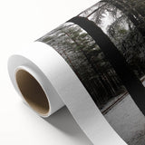 Rustic Winter Forest Wall Art | Farmhouse Nature Scene for Cozy Decor