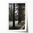 Rustic Winter Forest Wall Art | Farmhouse Nature Scene for Cozy Decor
