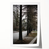 Rustic Winter Forest Wall Art | Farmhouse Nature Scene for Cozy Decor